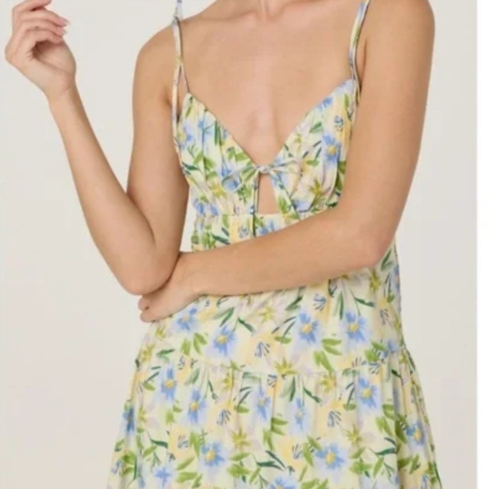 Astr The Label  Floral Tie-Front Dress